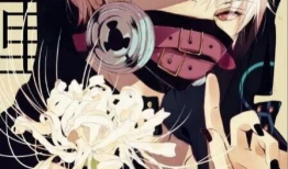 动漫欧美,跨越国界的文化盛宴